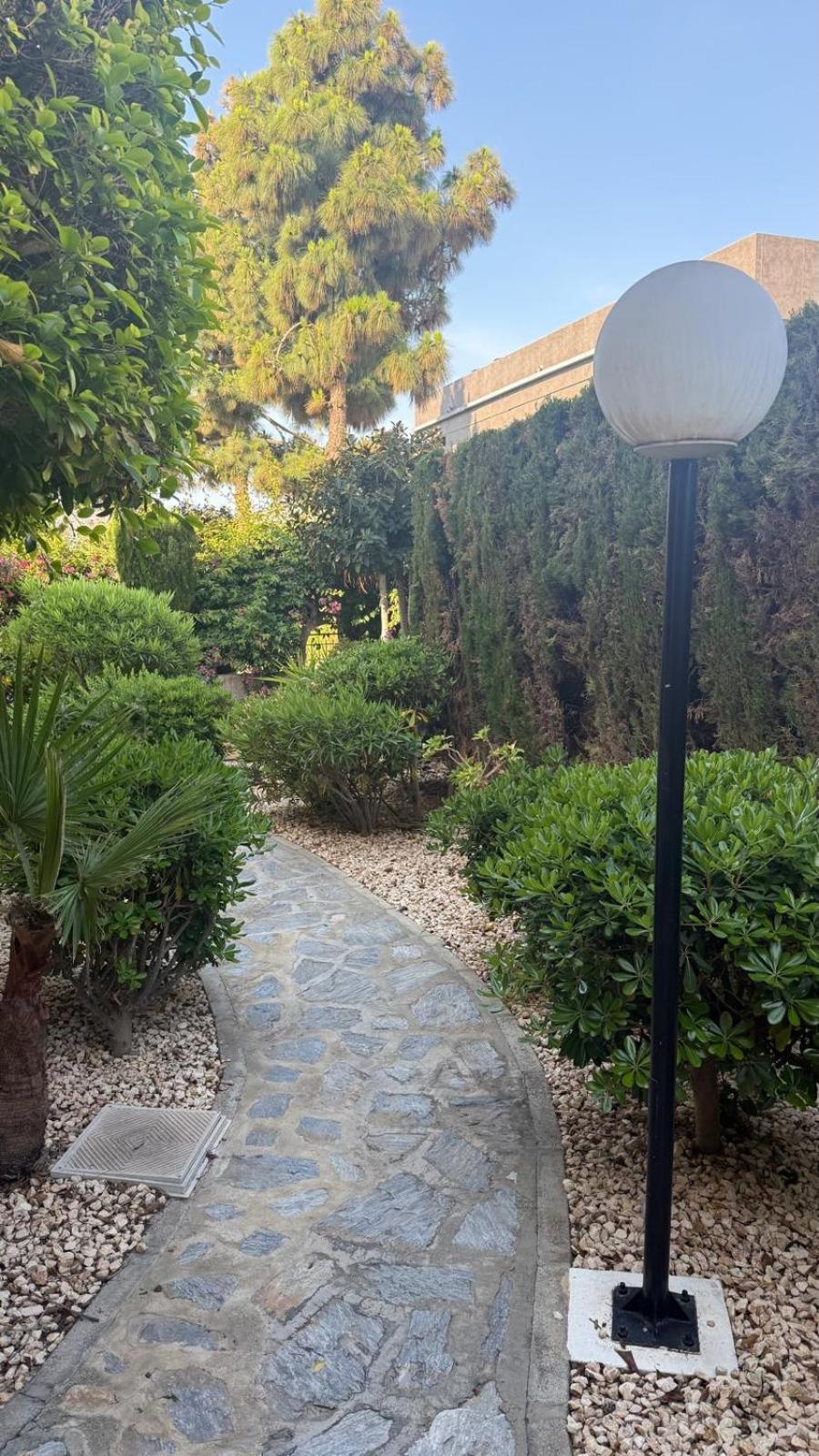 Lobo En Cabo Apartment, Cabo Roig , Orihuela Costa Dış mekan fotoğraf